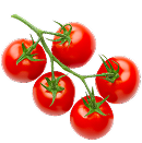 stock image of tomatoes on a vine